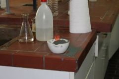 IMG_1837_1024x683
