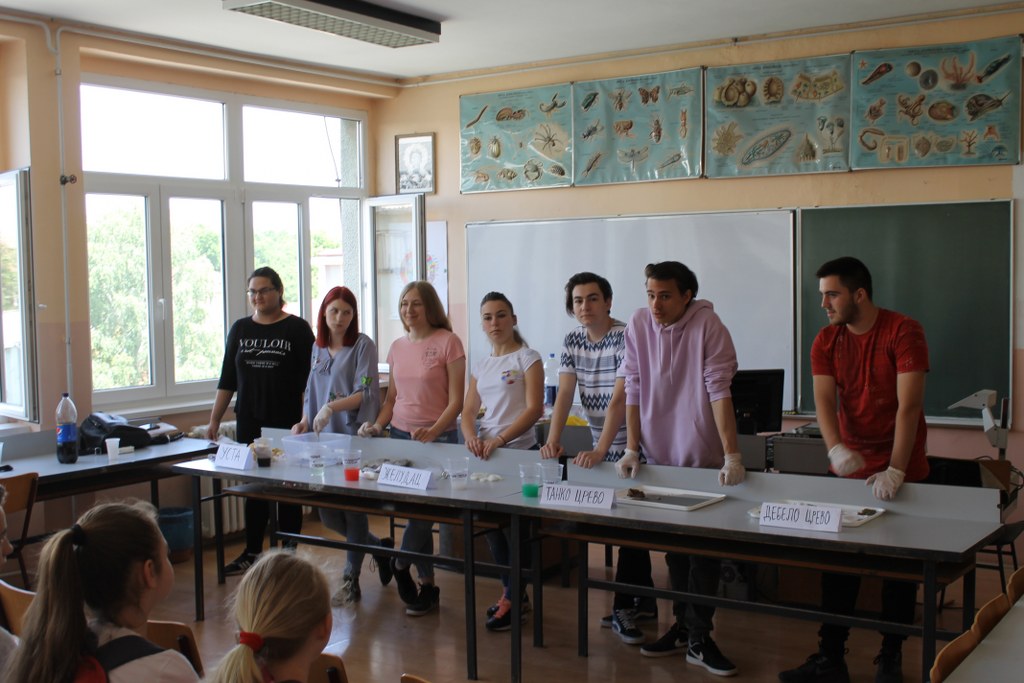 IMG_1464_1024x683
